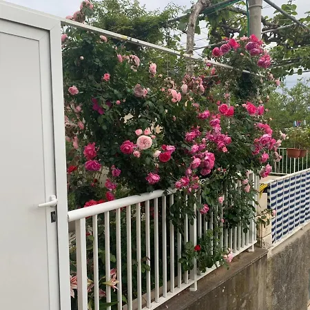 米娅公寓 公寓